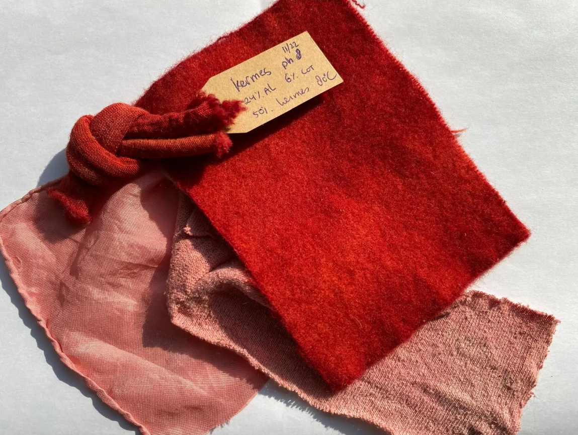 Từ thời cổ đại, người Ai Cập cổ đại, Lưỡng Hà, Ấn Độ, Hy Lạp, La Mã và Iran đã biết sử dụng côn trùng để sản xuất thuốc nhuộm màu đỏ. Thuốc nhuộm màu đỏ từ côn trùng Kermes đã được đề cập trong các tài liệu thương mại cổ đại, chẳng hạn như trong các bảng chữ hình nêm từ văn minh Lưỡng Hà. Ảnh: @Getty.