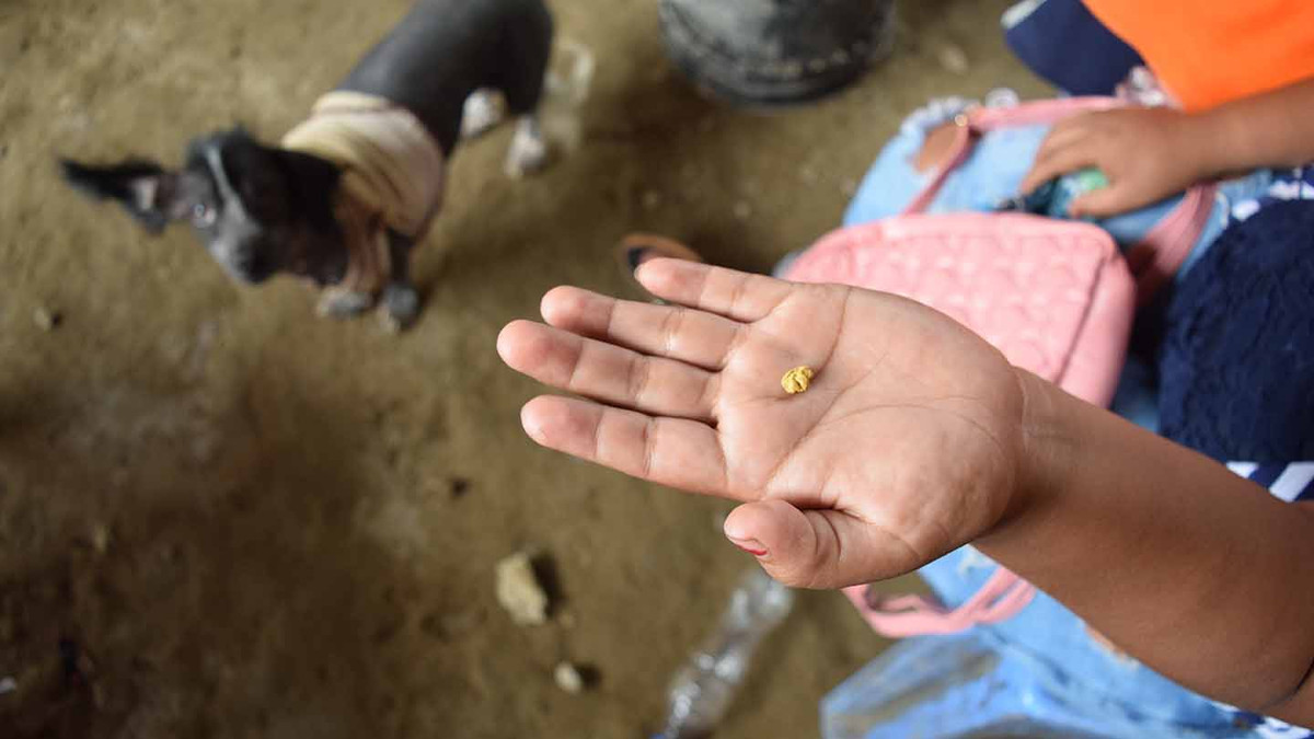 Khi người đứng đầu cộng đồng đề cập với phương tiện truyền thông, các nhà chức trách tin rằng, những người ngoài hành tinh đáng sợ này thực chất là những người đào vàng bất hợp pháp có ngụy trang, có thể liên quan đến các băng đảng ở Colombia và Brazil. Ảnh: @shutterstock.