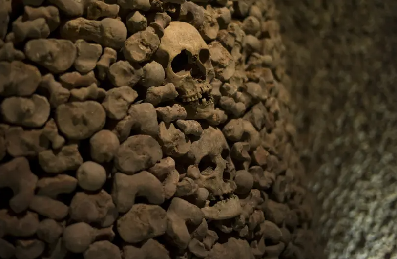 140 năm sau khi phát hiện hộp sọ người cổ đại, các nhà nghiên cứu đã thành công trong việc tái tạo khuôn mặt của người mà hộp sọ thuộc về khoảng 31.000 năm trước. Hộp sọ - được gọi là Mladeč 1 - được tìm thấy trong một hang động ở Mladeč, ngôi làng thuộc Cộng hòa Séc ngày nay. Ảnh: Getty Images.