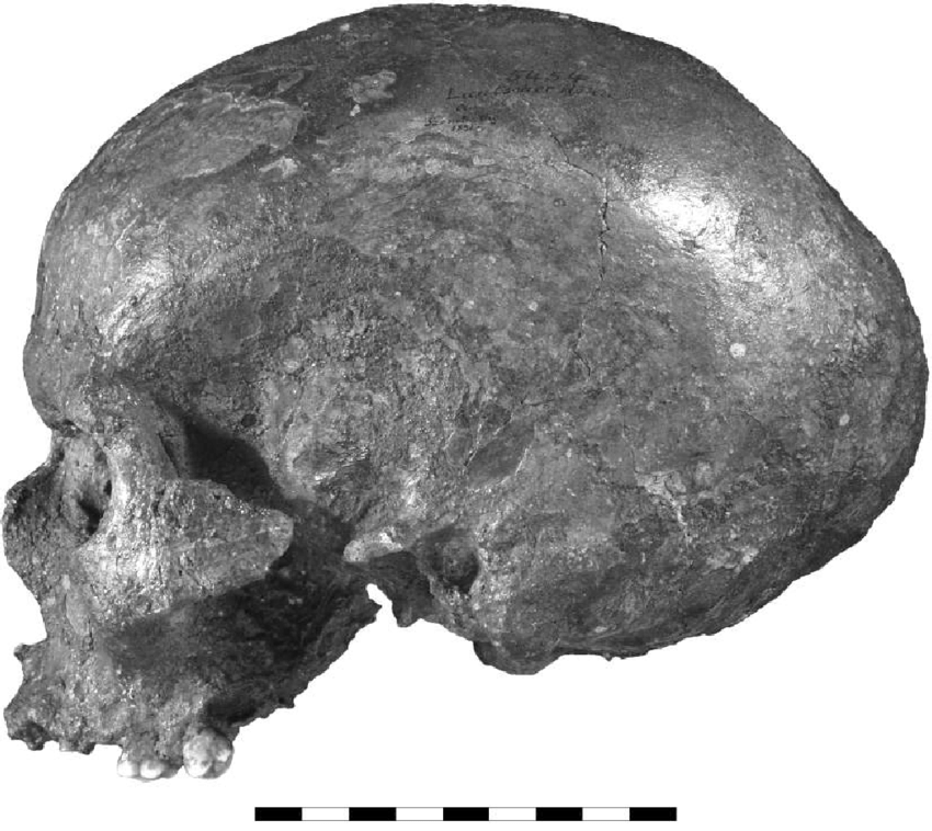 Nghiên cứu được thực hiện bởi Cicero Moraes, một Nhà thiết kế 3D tới từ công ty GEO-CZ ở Cộng hòa Séc và Karel Drbal, phó giám đốc Cục quản lý Hang động của Cộng hòa Séc. Ảnh: Researchgate.