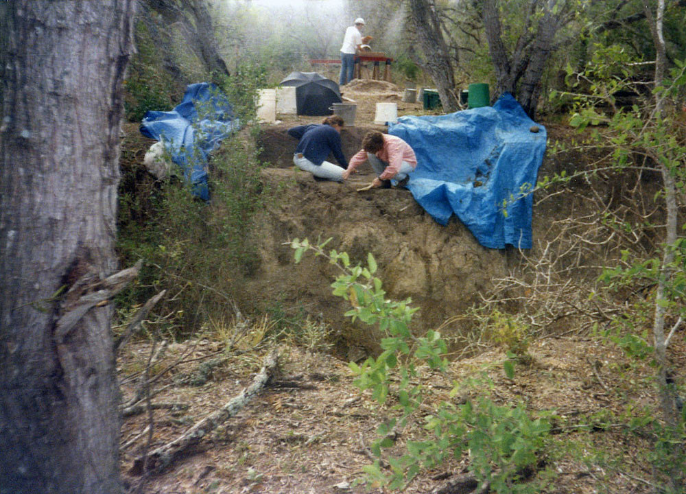 Ernest Witte là một cậu bé lớn lên ở vùng nông thôn Texas vào những năm 1930. Một ngày nọ, giữa thời kỳ Đại suy thoái, Witte và anh trai của mình đang lục lọi xung quanh một khu vực gần Sông Brazos. Vô tình, họ phát hiện ra một số hóa thạch. Không biết mình tìm thấy gì, họ vẫn tiếp tục đào. Ảnh: @texasbeyondhistory.