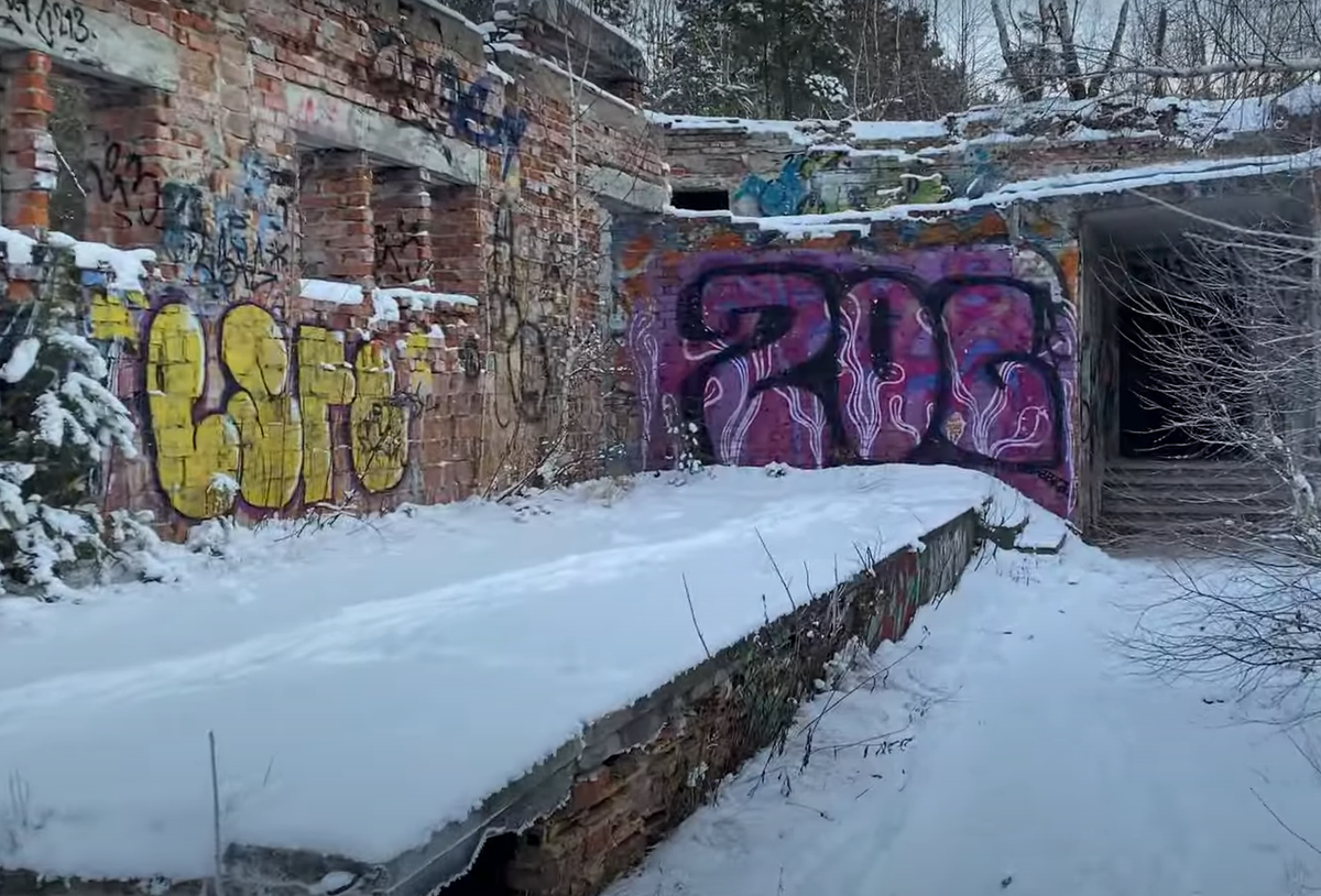 Khu phức hợp viện điều dưỡng bao gồm bốn tòa nhà và là nơi ở của 370 bệnh nhân, cả trẻ em và người lớn; vào thời kỳ đỉnh cao, nơi đây có tới 994 nhân viên làm việc. Ảnh: @Bill's afterMATH.