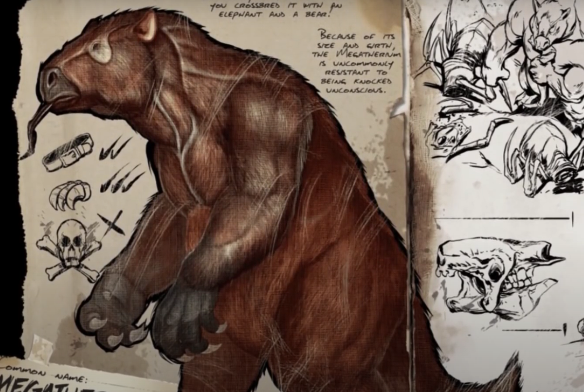 Tuy nhiên, các bằng chứng cổ đại có thể chứng minh điều này. Các nhà khảo cổ học đã tìm thấy hóa thạch của một con lười khổng lồ được gọi là Megatherium ở Amazon. Loài vật đó đã tuyệt chủng từ cuối Kỷ Băng hà. Ảnh: @Marvelous Videos.