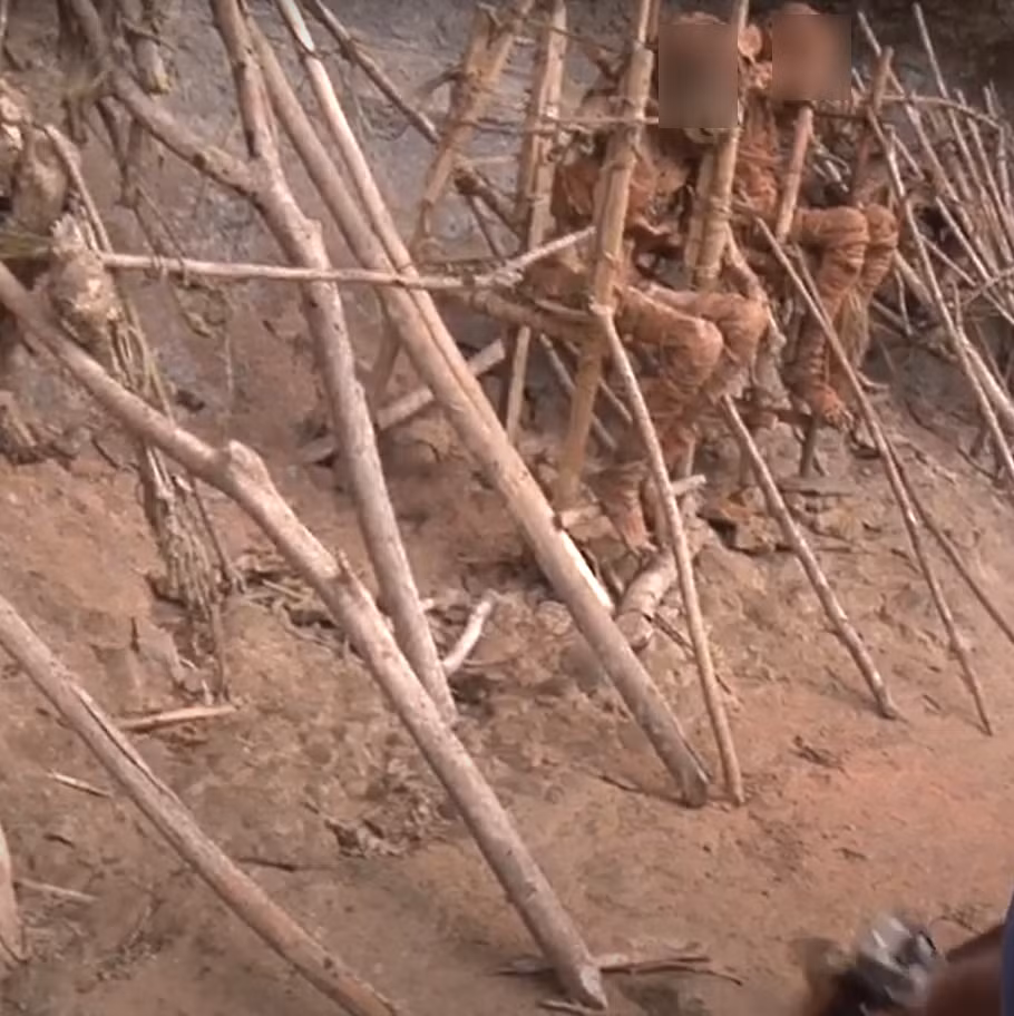 Khi xác chết cạn kiệt nước, chất lỏng, dân làng được cho là sẽ thu thập chất lỏng của những người thân yêu đã chết và bôi lên người họ như một biểu hiện của sự thương tiếc. Sau đó, các thi thể được dựng đứng ngoài trời để khô. Ảnh: @healingseekers.