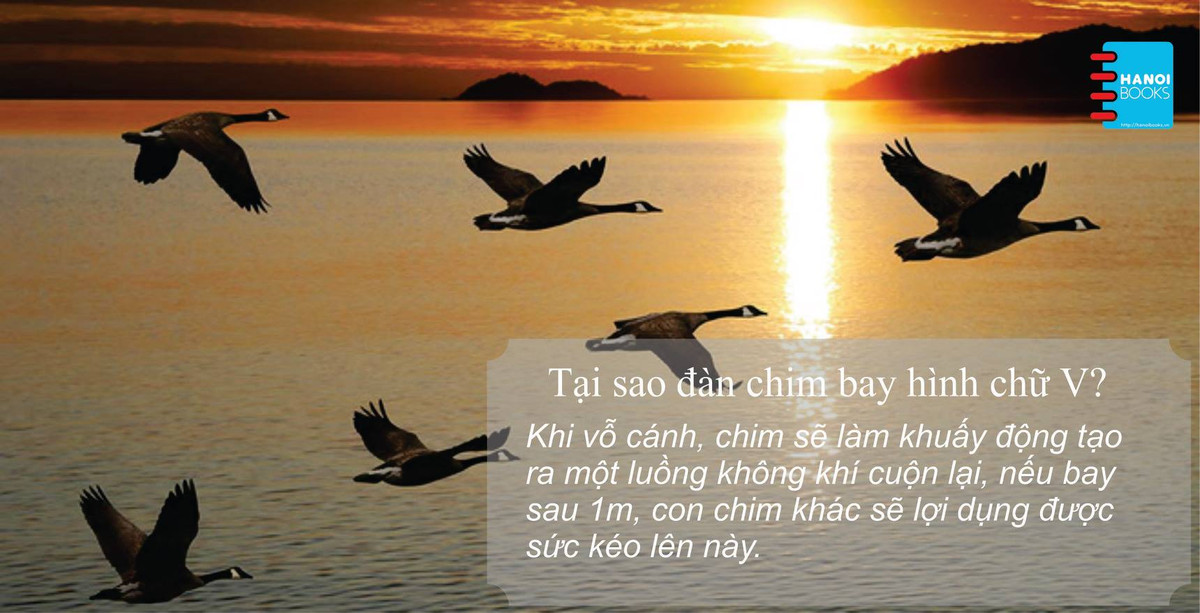 Với lối diễn giải khúc triết, mạch lạc, nhưng cũng không kém phần hài hước, dí dỏm, bộ ba cuốn sách sẽ là sách gối đầu giường cho bạn đọc, nhất là các bậc cha mẹ. Các bậc phụ huynh cần trang bị sẵn cho mình những câu trả lời thông thường, chứ không phải đợi trẻ hỏi mới bắt đầu tìm sách hoặc vào internet để tra cứu.