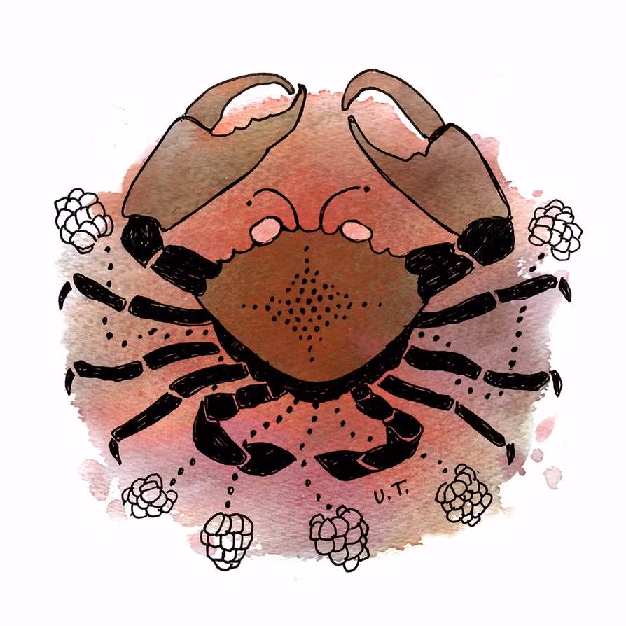  Cự Giải (22/6 – 22/7): Dự đoán tử vi tuần mới cho 12 cung hoàng đạo nhắc nhỏ, cần chú ý nhiều hơn đến cuộc sống gia đình và chuyện tình cảm. Cung hoàng đạo này sẽ đón nhận song hỷ: tài chính dồi dào và gặp may mắn nếu đi công tác. 