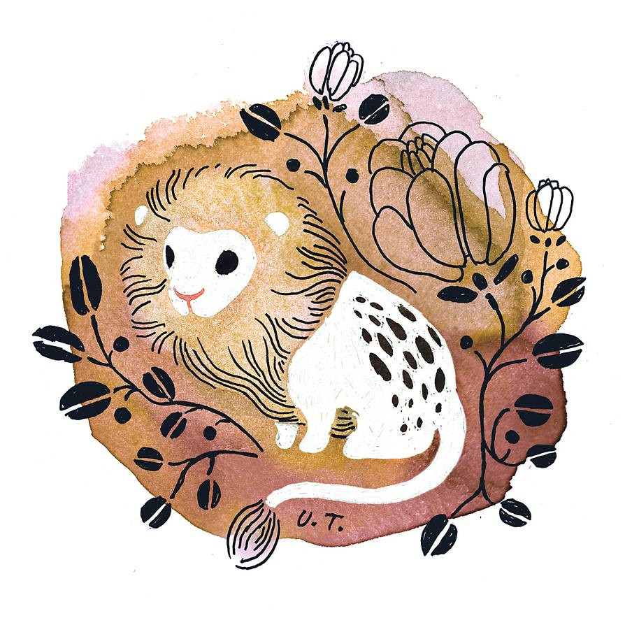  Sư Tử (23/7 – 22/8): Các vấn đề bất ngờ trong 7 ngày tới sẽ đốt cháy cơ thể và bộ não của cung hoàng đạo này. May sao 7 ngày tới rất hợp để bạn triển khai khởi nghiệp, củng cố kinh tế. Tử vi 12 cung hoàng đạo khuyên nhỏ rằng, vận may ái tình vừa phải, tích cực hẹn hò. 