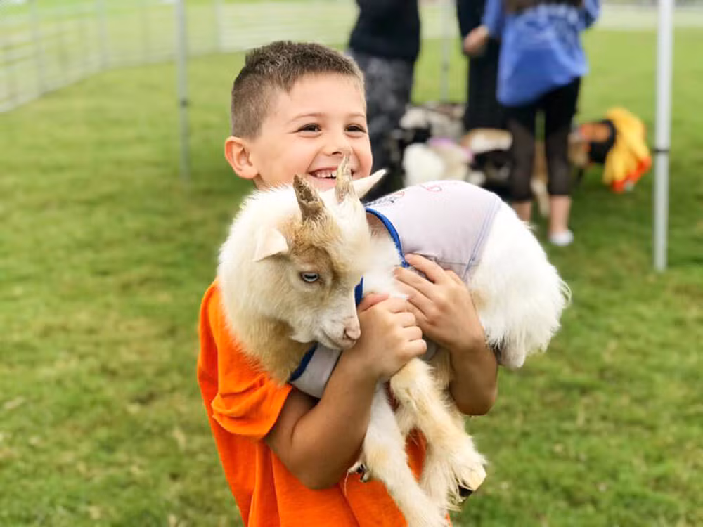  Tuổi Mùi: Tử vi 12 con giáp bất ngờ vì bạn sống bình dị. Nếu mạnh dạn thể hiện bản thân nhiều bạn sẽ ghi điểm với cấp trên, dễ thăng chức, tăng lương. Chi tiêu tiết kiệm dù kinh tế khởi sắc nhưng nên hào phòng với nửa kia.