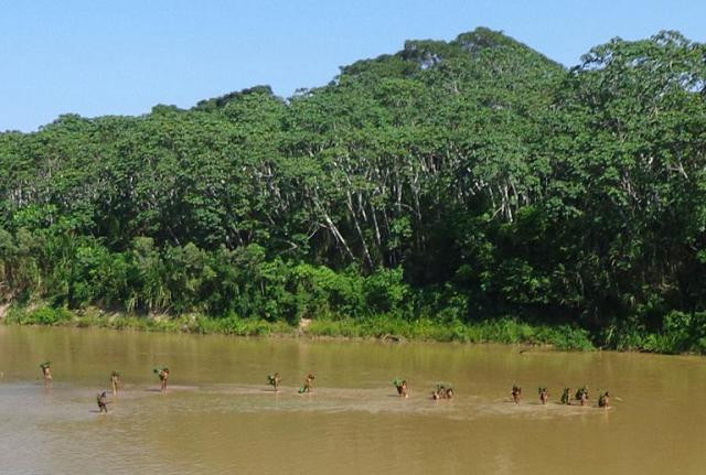 Trong khi một số người sống sót và bộ lạc vẫn tồn tại cho đến ngày nay, thì Mashco Piro đang phải chịu mối đe dọa ngày càng tăng từ nạn khai thác gỗ và phá rừng. Một số công ty khai thác gỗ đã hoạt động trong lãnh thổ của bộ lạc này. Ảnh: @news.yahoo.