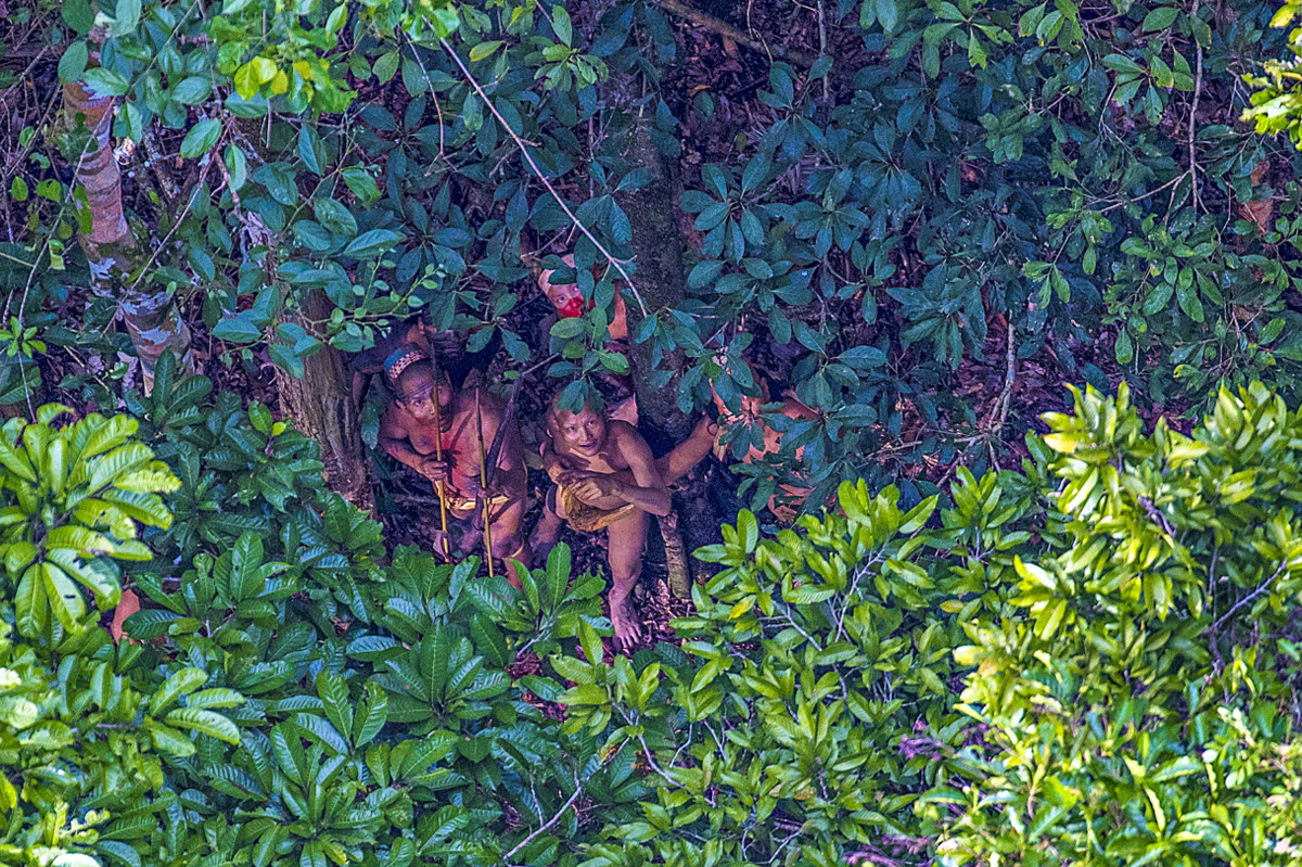 Tuy nhiên, việc người ngoài khai thác gỗ, chăn nuôi và các hoạt động phá hoại khác xâm chiếm đất đai của họ ở Rio Pardo, đã dẫn đến bạo lực chống lại bộ tộc này. Ảnh: @Ricardo Stuckert.