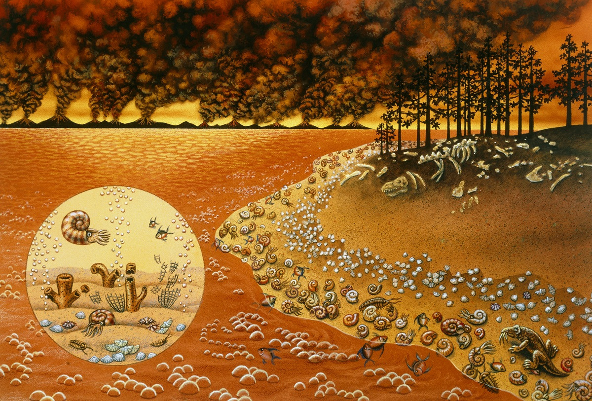 "Nhưng nếu một hành tinh, bao gồm cả Trái Đất, nằm quá gần sự kiện này, điều này có thể gây ra những hậu quả tàn khốc với sự sống trên Trái Đất”, Tiến sĩ Alexis Quintana chia sẻ thêm. Ảnh: @NPR.