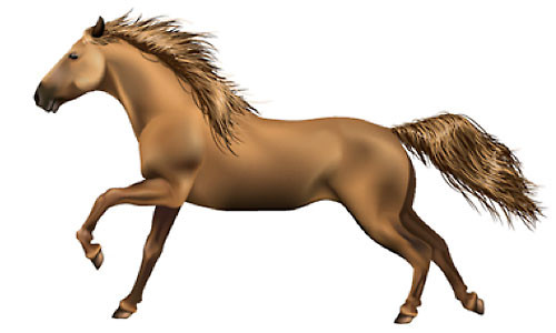 Vận trình công việc hôm nay đang lên, vì vậy tuổi Ngọ đừng lười biếng mà hãy nâng cao hiệu quả công việc. Được quý nhân giúp đỡ, con giáp kiếm tiền dễ dàng, thu lợi nhuận gấp đôi gấp ba.