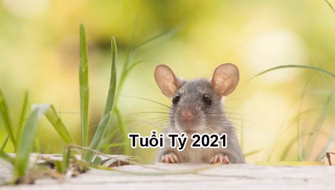 Tu vi 12 con giap nam 2021: Than tai go cua, tuoi nao bung no? (Phan 1)-Hinh-2