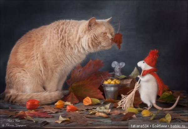  Tuổi Mão: Dự đoán ngày mới cho 12 con giáp e rằng, hôm nay bạn sẽ có một ngày làm việc cực kỳ mệt mỏi và hỗn loạn. Khó lòng hoàn thành mọi việc đúng tiến độ, bị cấp trên quở mắng, kinh tế sa sút, chuyện tình cảm tụt hậu. 