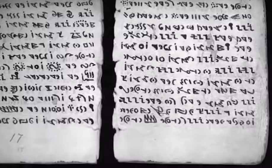 Với 448 trang văn bản không thể giải mã và số lượng lớn các ký hiệu khác bất kỳ bảng chữ cái nào đã biết, nguồn gốc, tác giả và mục đích của Bộ luật vẫn chưa được biết. Ảnh: @Mr. Mythos.