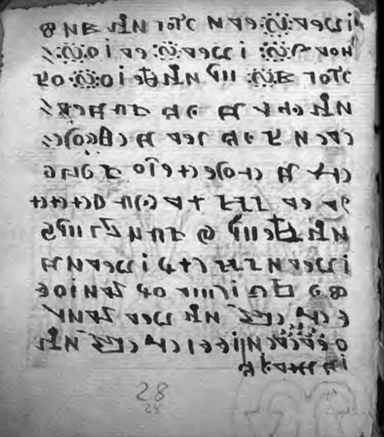 Giấy mờ trong Bộ luật cho thấy phạm vi ngày tháng là 1529–1540, nhưng văn bản thực tế có thể có từ trước thời kỳ này, làm tăng thêm bản chất bí ẩn và sự hấp dẫn của nó. Ảnh: @Mr. Mythos.