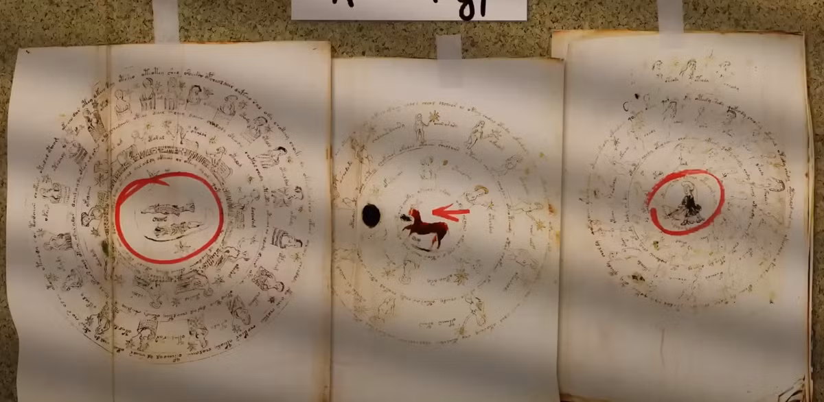Mục đích đằng sau những bức vẽ này và văn bản đi kèm vẫn còn khó lý giải. Một số giả thuyết cho rằng, nó có thể là một cuốn sách hướng dẫn khoa học, hoặc thảo dược được mã hóa, trong khi những người khác lại cho rằng, nó là một trò lừa bịp tinh vi. Ảnh: @Watcher.