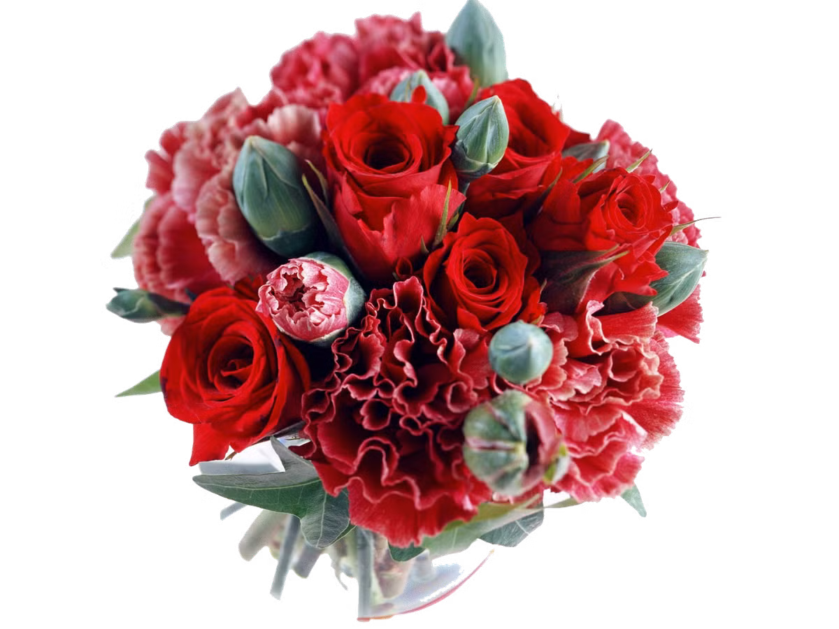 Tuổi Ngọ: Vận thế chung: 4.3 điểm. Sự nghiệp: 4.3 điểm. Tình cảm: 4.2 điểm. Tài vận: 4.4 điểm. Sức khỏe: 4.2 điểm. Sự nghiệp: công việc cơ bản ổn định. Tình cảm: không phát sinh chuyện ngoài ý muốn. Tài vận: nguồn thu chính có thêm nhiều khoản thu. Sức khỏe: lưu ý bệnh nam khoa, phụ khoa. Quý nhân tuần này: tuổi Mão, tiểu nhân tuần này: tuổi Thân. Lời khuyên: nên đi kiểm tra sức khỏe. Ảnh: pnmart.com.