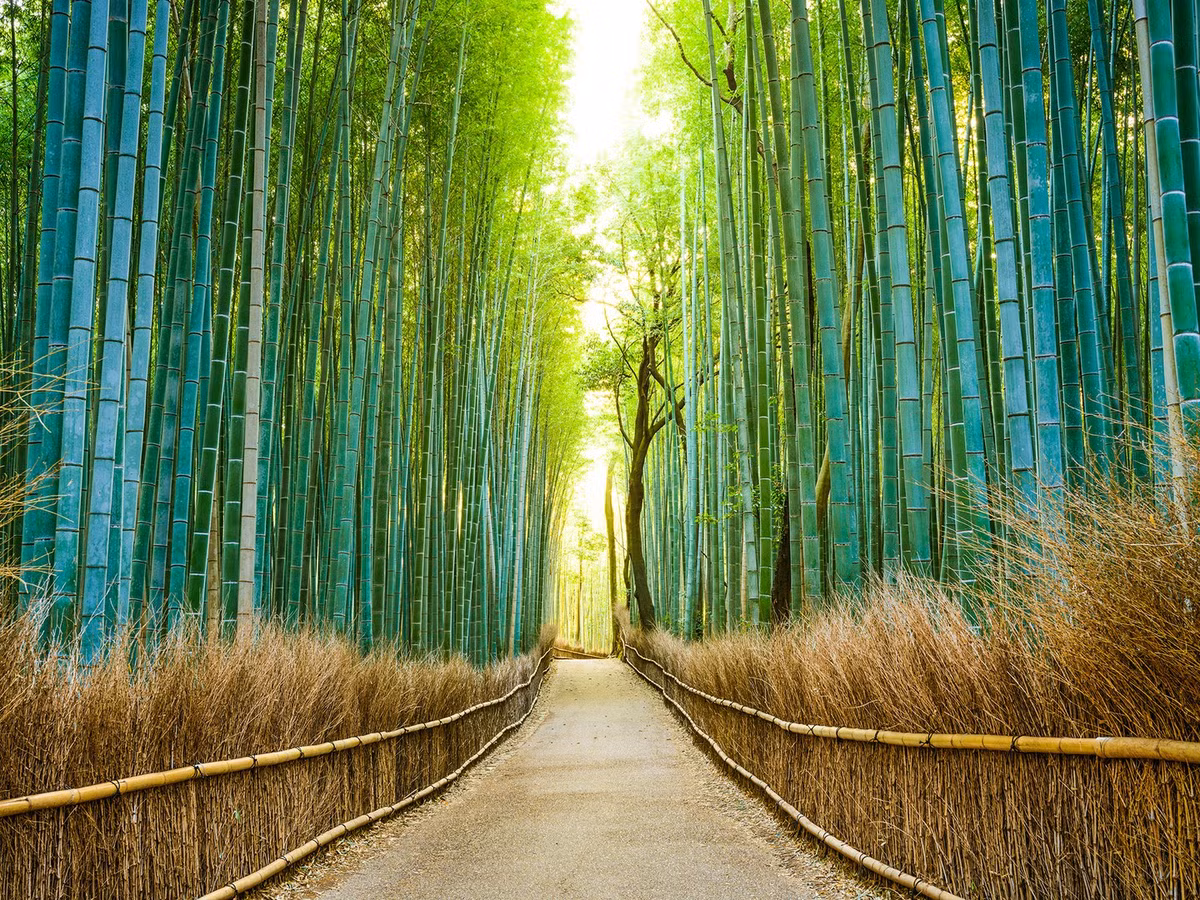 Tuổi Dần: Người tuổi Dần luôn khiến người khác cảm thấy rằng con giáp này mang trong mình một khí chất đặc biệt. Từ nhỏ, người tuổi Dần đã thể hiện khả năng lãnh đạo xuất chúng, gặp bất cứ chuyện gì đều có thể giải quyết ổn thỏa. Khi trưởng thành, đa phần người tuổi Dần đều trở thành những nhân vật kiệt xuất với ý chí kiên định nên có thể tạo dựng cho mình một sự nghiệp lẫy lừng khiến người khác phải ngưỡng mộ. Ảnh: nld.com.vn.