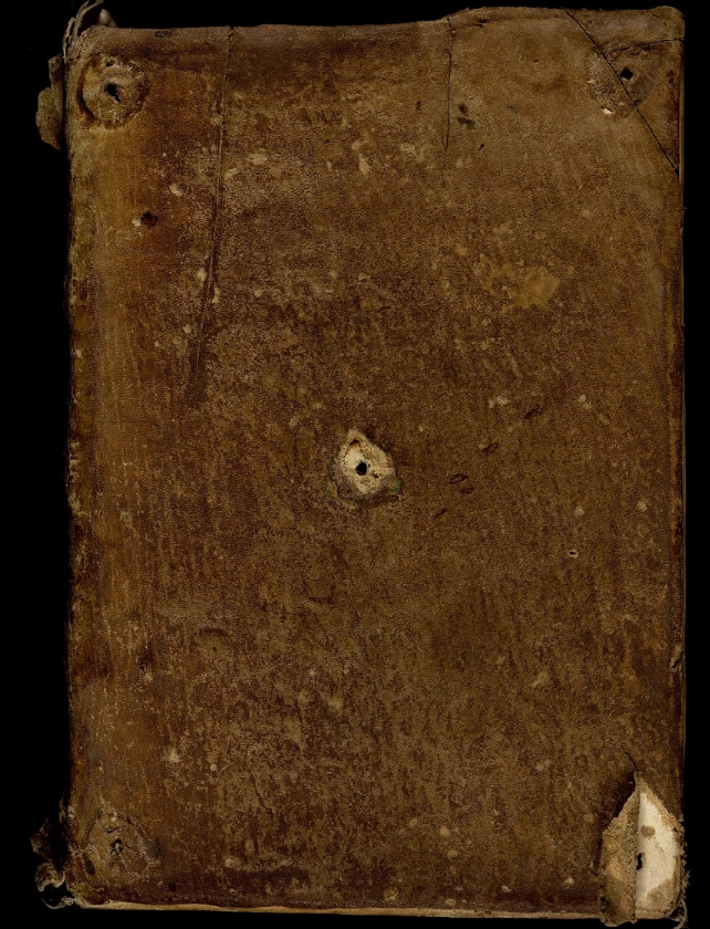 Cho nên, điều này cũng phần nào ám chỉ đến việc các tu sĩ Xitô đã tham gia sâu vào mạng lưới thương mại thời trung cổ từ rất sớm, liên kết các tu sĩ Xitô với các mạch kinh tế rộng hơn bao gồm cả buôn bán lông thú với người Bắc Âu. Ảnh: @E. Lévêque và cộng sự.