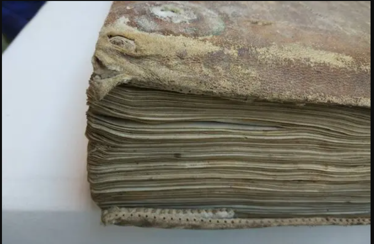 Trước đây, có thông tin cho rằng, những cuốn sách thời trung cổ “có lông” này được làm từ da hươu, da lợn rừng có sẵn tại các địa phương. Tuy nhiên, sự thật thì không phải vậy. Ảnh: @E. Lévêque và cộng sự.