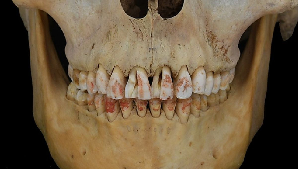 Để xác định thành phần của sắc tố đỏ, các nhà nghiên cứu đã tiến hành phân tích quang phổ, cho thấy đó là chất bột chu sa trộn với protein động vật, có thể là lòng đỏ trứng hoặc lòng trắng trứng, cho thấy nó được cố ý sơn lên răng. Ảnh: @Qian Wang. 