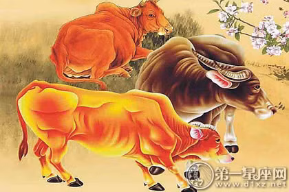 Tuổi Sửu: Người tuổi Sửu rất chăm chỉ và lương thiện, năm nay vận thế của con giáp này theo chiều hướng “khố trước sướng sau”. Người tuổi Sửu yêu cầu rất nghiêm khắc trong công việc và đồng thời cũng không ngừng học hỏi để hoàn thành mục tiêu.