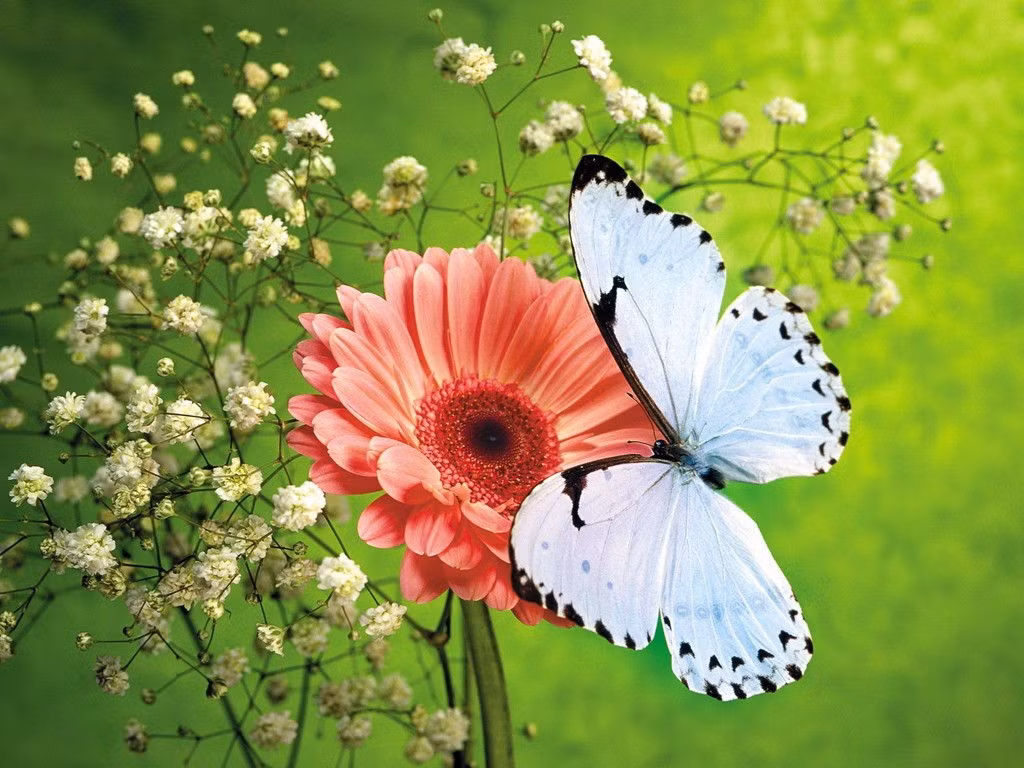 Người tuổi Thìn sinh năm 1976, 1988: Người tuổi Thìn bẩm sinh đã mang phúc khí khiến người khác phải ngưỡng mộ đồng thời lại là người có tài sắc vẹn toàn. Ảnh: depdrama.com.