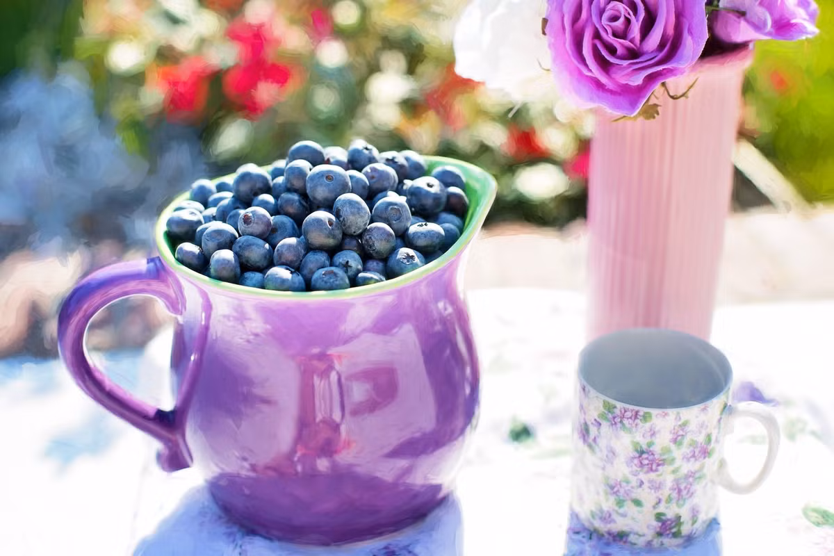 Tuổi Tuất: Sự nghiệp: năng lực tốt giúp hóa giải mọi nguy cơ trong công việc. Tài vận: vượng phát, dồi dào. Tình cảm: ổn định, nên có sự lựa chọn kỹ càng để tránh vận đào hoa xấu. Ảnh: pexels.com.