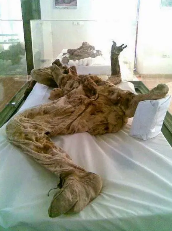 “Những xác ướp muối từ mỏ muối Chehrābād chắc chắn là một trong những khám phá thú vị nhất trong ngành khảo cổ học khai thác mỏ. Nhiều vụ tai nạn khai thác mỏ có thể nhìn thấy qua các thi thể, tiết lộ nhiều chi tiết về những vụ tai nạn này, cũng như lịch sử cuộc đời của những cá nhân đó”, Thomas Stöllner, một nhà khảo cổ học khai thác mỏ cho biết. Ảnh: @Gamma-Rapho/Getty Images.