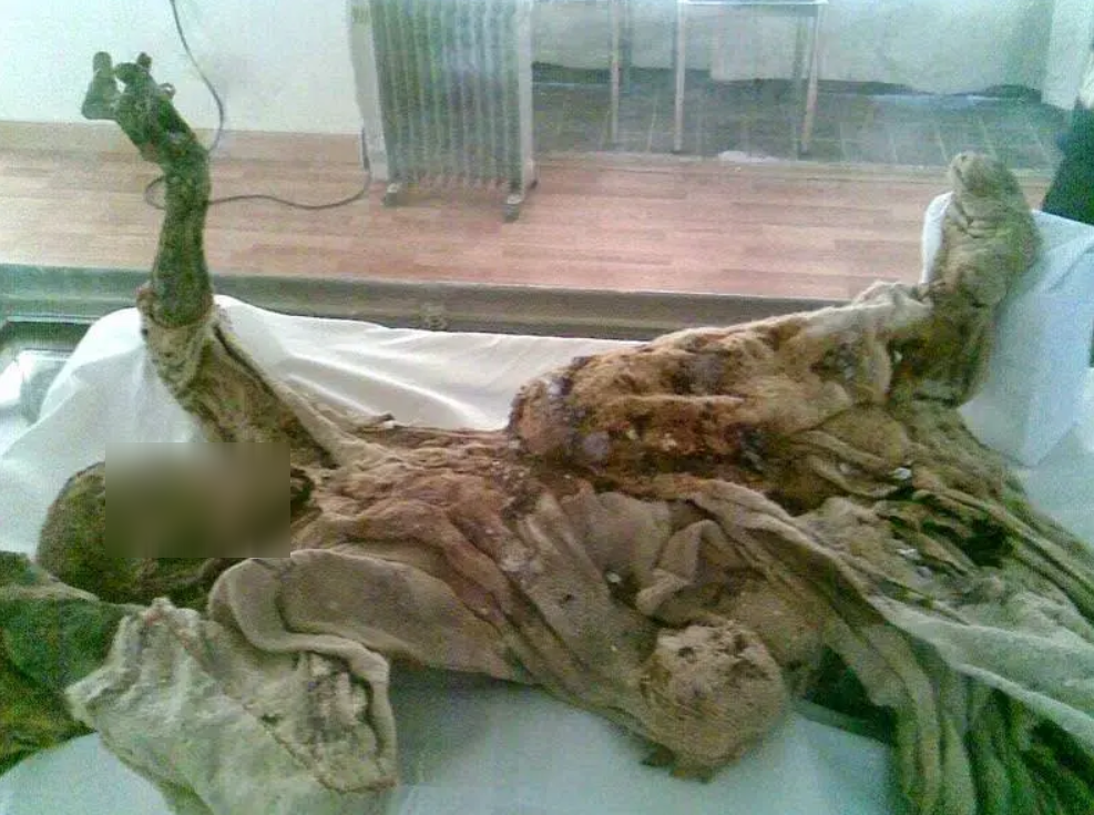 Có sáu xác ướp "Người muối" khác đã được tìm thấy tại địa điểm này. Một trong những xác ướp mang tính biểu tượng nhất, và phải thừa nhận là bi thảm nhất, thuộc về một cậu bé 16 tuổi, hài cốt được bảo quản cho thấy, cậu bé giơ hai tay lên, như thể cậu đang bảo vệ mình khỏi thứ gì đó. Ảnh: @Gamma-Rapho/Getty Images.