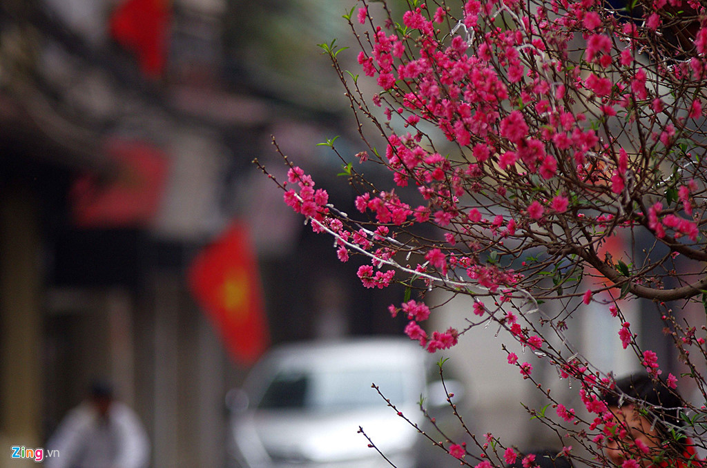 Tuổi Dậu: Công việc: ngày không thích hợp cho việc hợp tác làm ăn, nên tập trung vào công việc. Tài vận: tài chính đi xuống, chi nhiều hơn thu, không nên dễ dàng tin vào lời nói của người khác. Tình cảm: dễ xảy ra tranh cãi nhỏ trong tình cảm. Ảnh: zing.vn. 