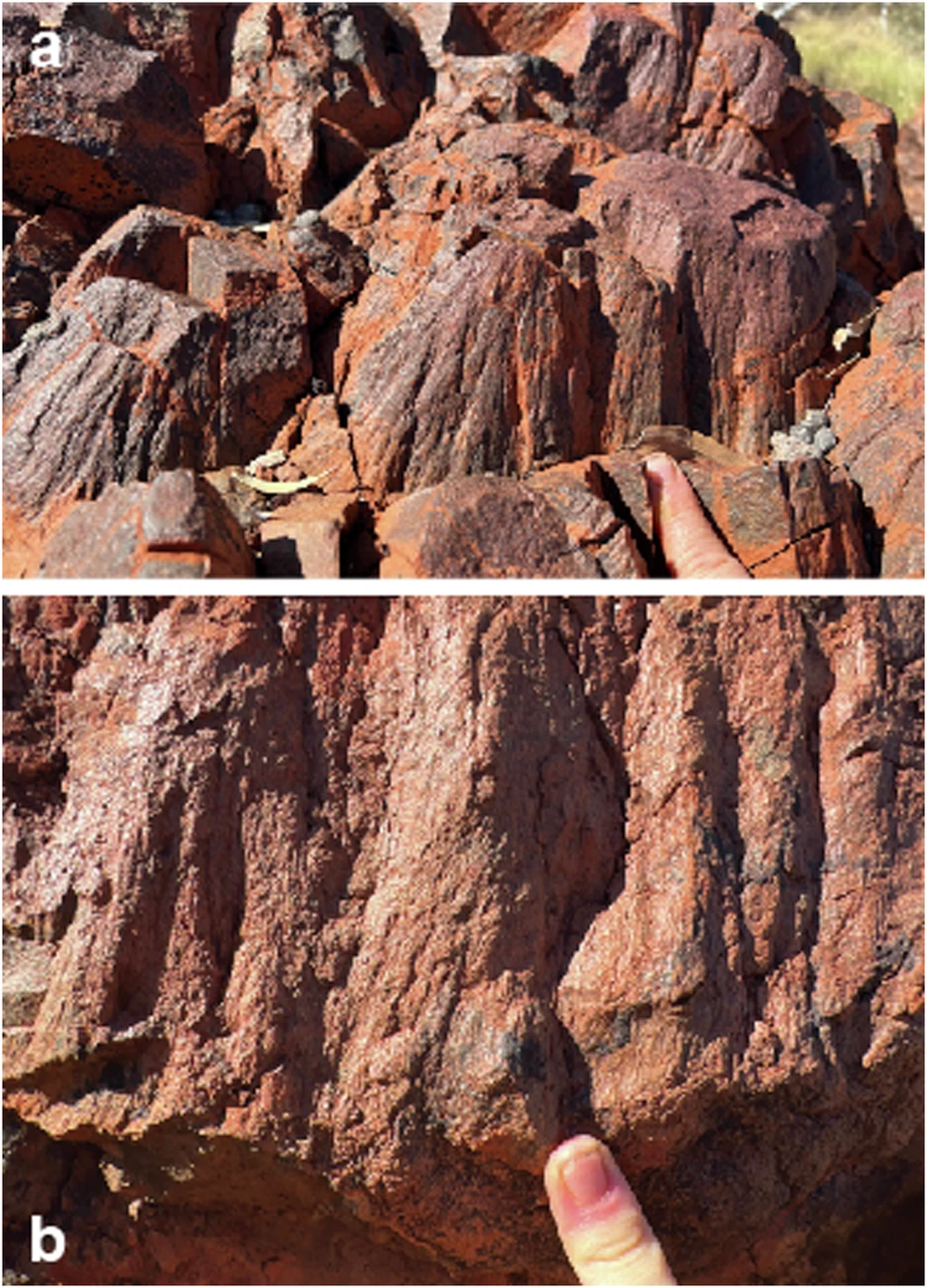 Các nhà khoa học không biết gì về cái hố va chạm cổ xưa này trên mặt đất, cho đến khi một loạt cấu trúc hình nón vỡ mới được phát hiện trên một sườn đồi gần thị trấn Marble Bar. Ảnh: @Đại học Curtin.