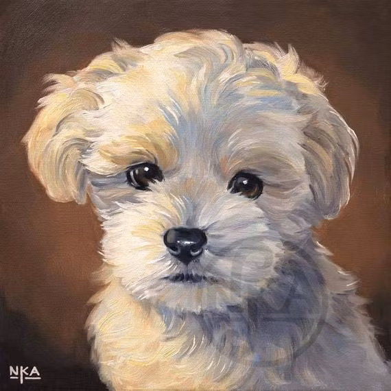 Con giáp luôn hào sảng nên đến ngày được đền đáp xứng đáng bằng những cơ hội kiếm tiền khó chối từ. Tuổi Tuất vừa chứng tỏ được năng lực trong công việc, lại có những cơ hội đầu tư hiếm có. Từ đây, tuổi trung niên con giáp sẽ đạt tới đỉnh cao công danh, tiền bạc.