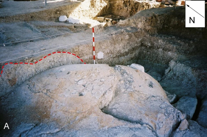 Phân tích những gì còn sót lại trong khu vực trầm tích bẫy cát lún, các tác giả đề xuất rằng, xác chết chìm một nửa của loài voi Mammuthus meridionalis đã thu hút những loài ăn xác thối, bao gồm cả linh cẩu và con người thời tiền sử. Ảnh: @Paul Palmqvist/María Patrocinio Espigares.