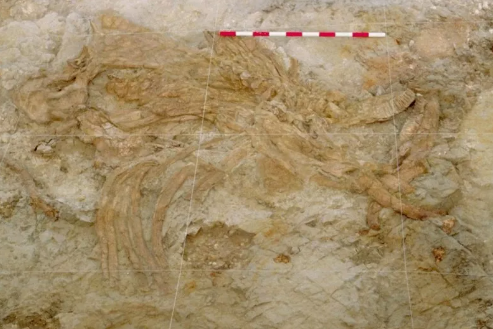 Trong công trình được công bố trên Tạp chí Địa chất Iberia, một nhóm các nhà nghiên cứu đến từ trường Đại học Málaga (UMA), bao gồm Giáo sư Cổ sinh vật học Paul Palmqvist, và Giáo sư Địa tầng học và Cổ sinh vật học María Patrocinio Espigares, đã tiến hành phân tích trầm tích tại địa điểm FN3. Ảnh: @Paul Palmqvist/María Patrocinio Espigares.