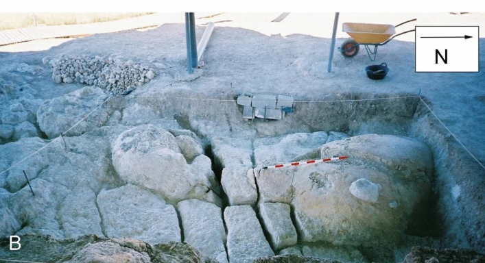 Cát lún có thể là cái bẫy chết người đối với động vật hoang dã, do đặc tính độc đáo của nó. Khi một con vật khối lượng lớn bước vào vùng cát lún, hỗn hợp giàu nước và giàu cát cùng làm tăng độ trơn, khiến việc con mồi thoát ra trở nên càng khó khăn hơn. Ảnh: @Paul Palmqvist/María Patrocinio Espigares.