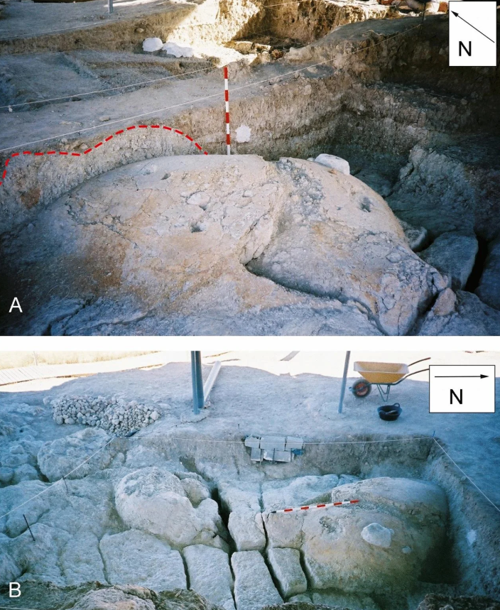 Paul Palmqvist chỉ ra rằng, bãi cát lún tự nhiên này đã bẫy các loài động vật ăn cỏ thời tiền sử lớn, bao gồm cả loài voi đã tuyệt chủng, Mammuthus meridionalis. Ảnh: @Paul Palmqvist/María Patrocinio Espigares.