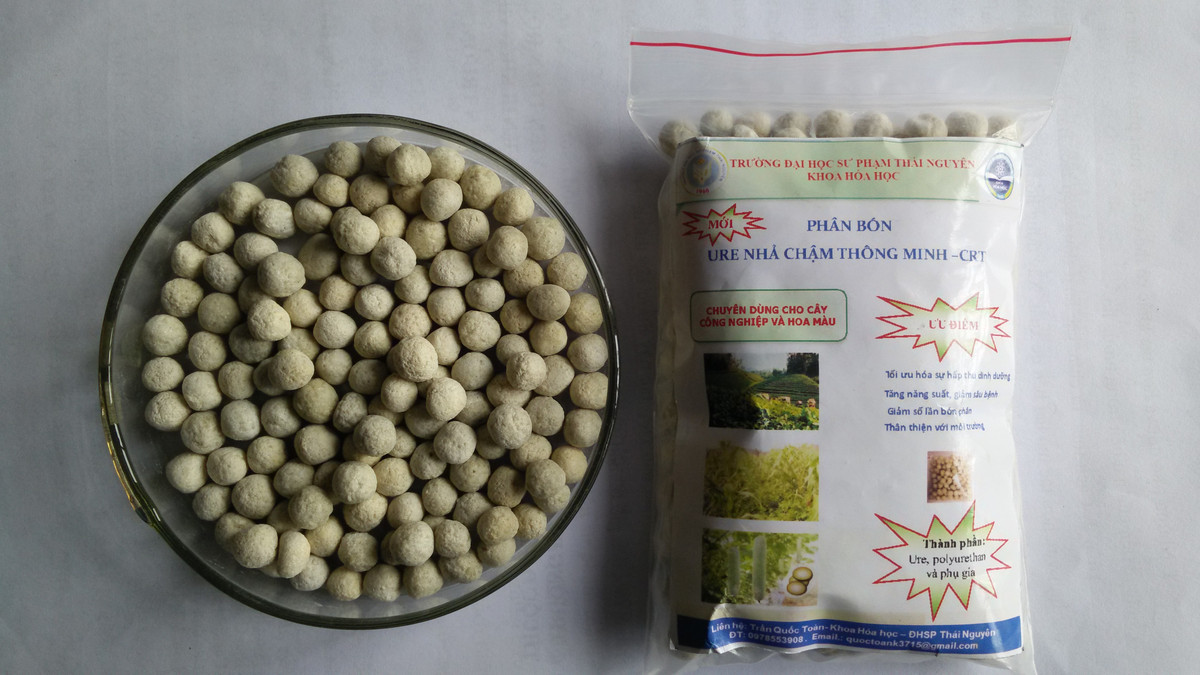 TS. Trần Quốc Toàn cho biết, một trong những yếu tố tạo ra thành công của phân bón nhả chậm thông minh đến từ việc các nhà khoa học lựa chọn các nguyên liệu rẻ tiền, sẵn có của Việt Nam là khoáng sét tự nhiên bentonit và bột sắn. 