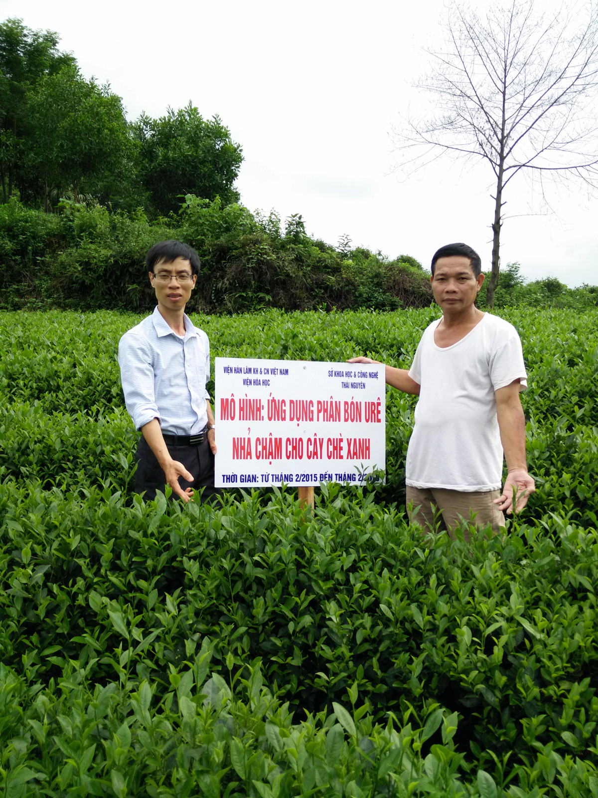 Phân nhả chậm thông minh của các nhà khoa học Việt giúp giảm lượng phân bón sử dụng từ 20-40% so với phân bón thông thường mà vẫn cho năng suất cao (tăng từ 21-35%). Điều này cho phép giảm số lần bón phân/vụ, tiết kiệm thời gian bón phân, chi phí sản xuất, không ảnh hưởng xấu đến các tính chất lý hóa của đất, thân thiện với môi trường.