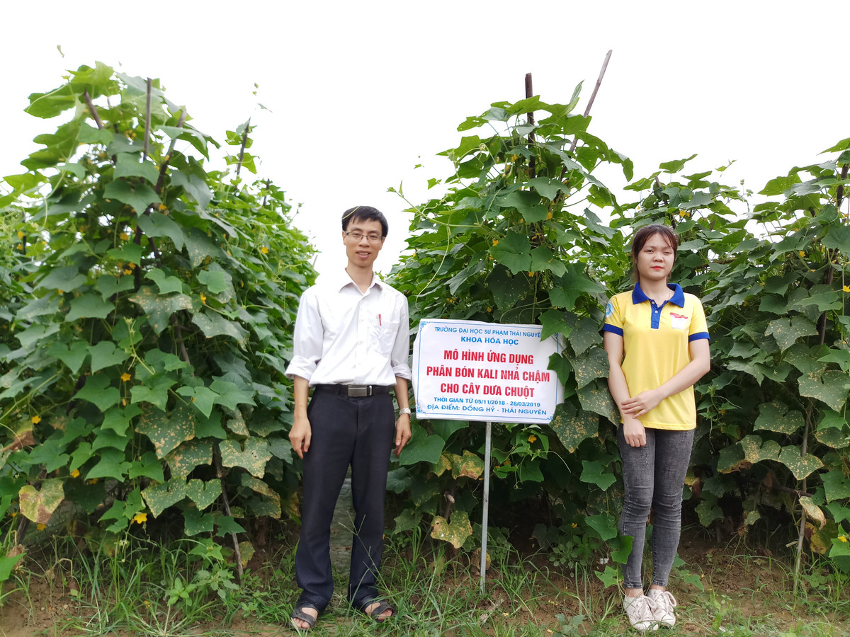 Nhờ tính sáng tạo và khả năng mang lại hiệu quả cao, sản phẩm phân bón nhả chậm thông minh của TS. Trần Quốc Toàn và các cộng sự đã được ban tổ chức cuộc thi Sáng tạo Khoa học Công nghệ Việt Nam do Quỹ hỗ trợ Sáng tạo Kỹ thuật Việt Nam (Liên hiệp các Hội KH&amp;KT Việt Nam) tổ chức trao giải ba năm 2019.
