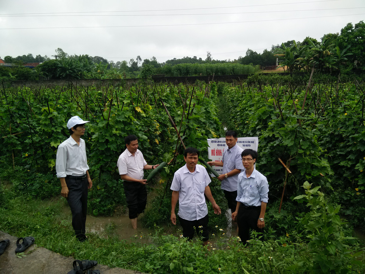 Theo TS. Trần Quốc Toàn, phân bón nhả chậm gồm hai phần: lớp vỏ bọc (polyme) và phần lõi (chứa chất dinh dưỡng). Phần lõi chứa chất dinh dưỡng gồm các loại phân dễ tan như ure, KCl, DAP, MAP.... Ngoài ra các nhà khoa học quyết định đưa khoáng sét tự nhiên bentonit vào với vai trò phụ gia, chất mang, có tính dẻo, dính, dễ dàng cho quá trình tạo viên.