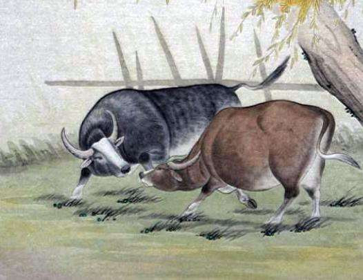 Tuổi Sửu: Người tuổi Sửu chăm chỉ, rất có trách nhiệm với công việc nhưng vẫn chưa đạt được thành công như ý muốn.