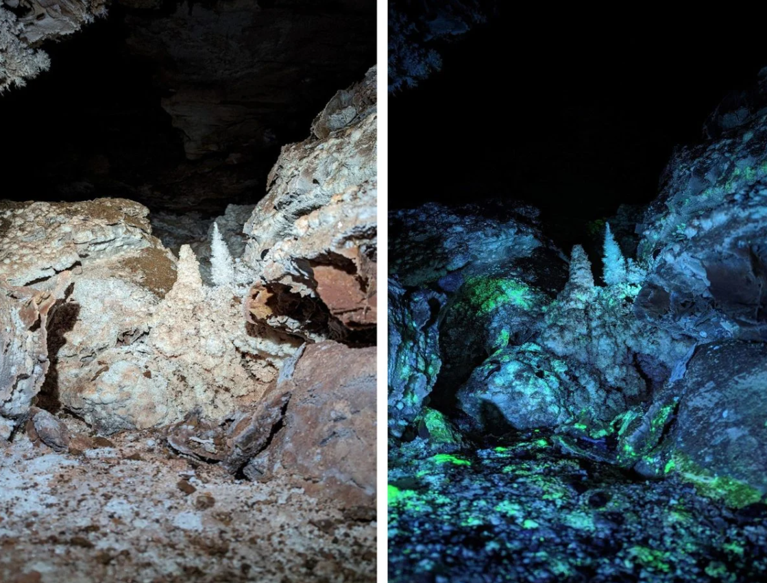 Mới đây, Nhà sinh vật học vũ trụ Joshua Sebree thuộc Đại học Bắc Iowa cho rằng, Wind Cave (Hang Gió) ở Nam Dakota có những điểm tương đồng về mặt hóa học với Mặt trăng vệ tinh băng giá Europa của Sao Mộc. Ảnh: @Joshua Sebree.