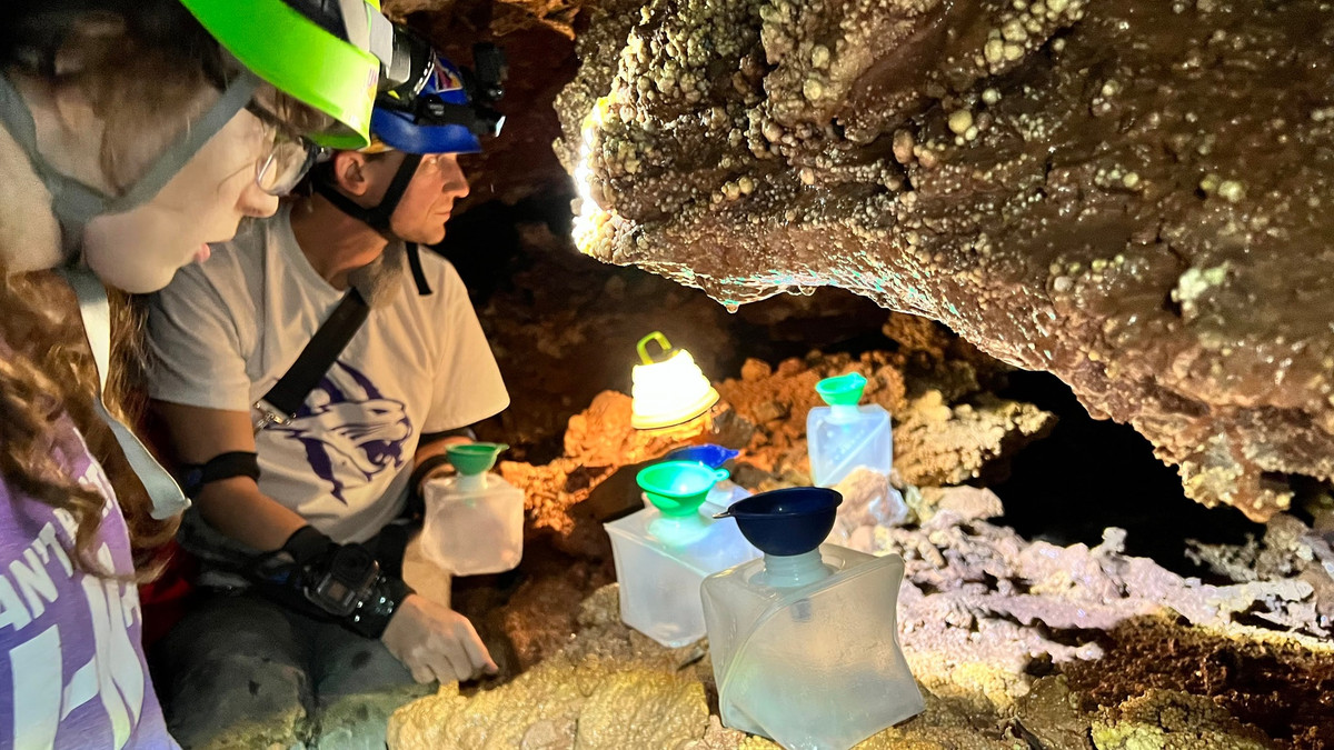 Nằm ở phía nam Black Hills của Nam Dakota, Wind Cave được cho là hang động dài thứ sáu trên thế giới. Hang động Wind Cave hiện cũng đang nằm trong Công viên quốc gia Wind Cave đã từng bị chìm dưới biển cổ đại, cách đây khoảng 350 triệu năm trước. Ảnh: @Joshua Sebree.