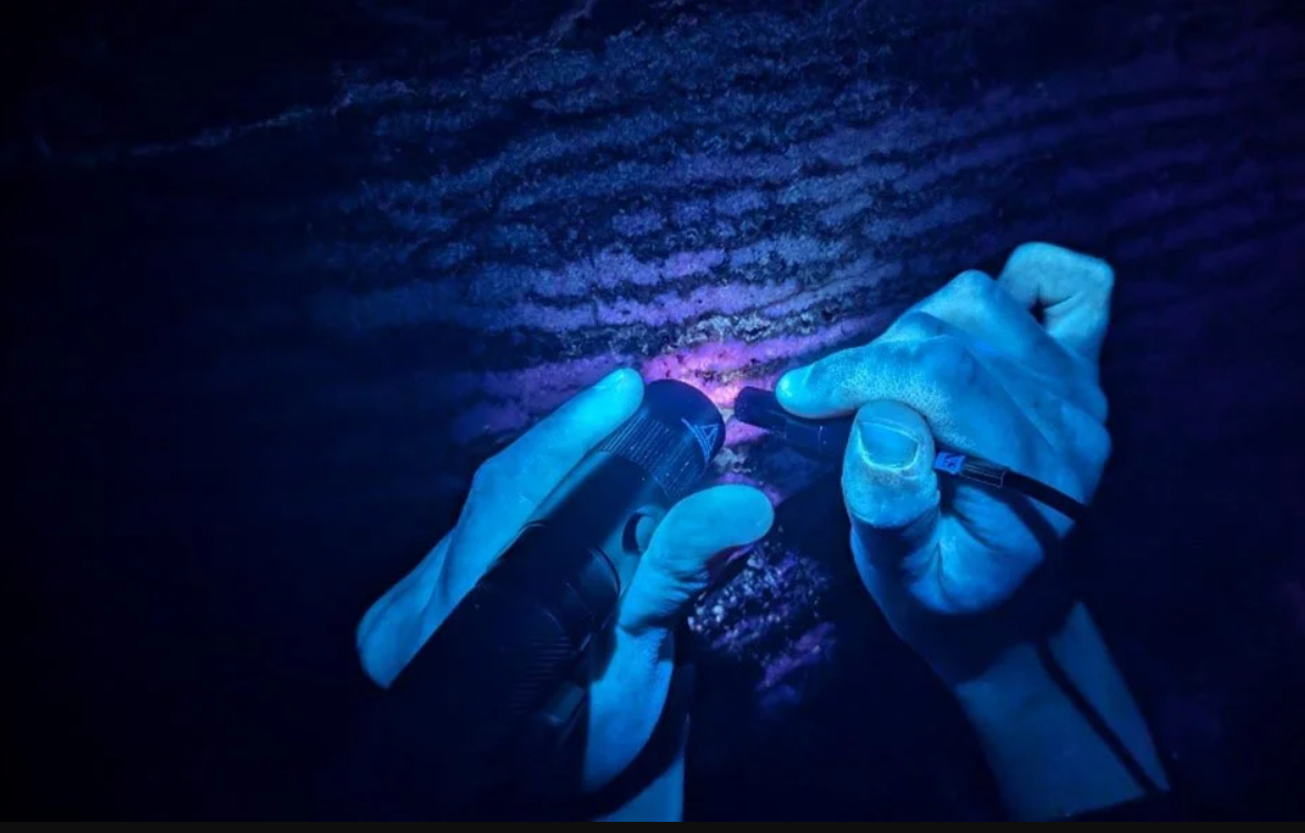 Vốn dĩ, Europa là một thế giới hấp dẫn với tiềm năng chứa đại dương bên dưới bề mặt, khiến nó trở thành trọng tâm trong các cuộc tìm kiếm sự sống ngoài Trái Đất. Ảnh: @Joshua Sebree.