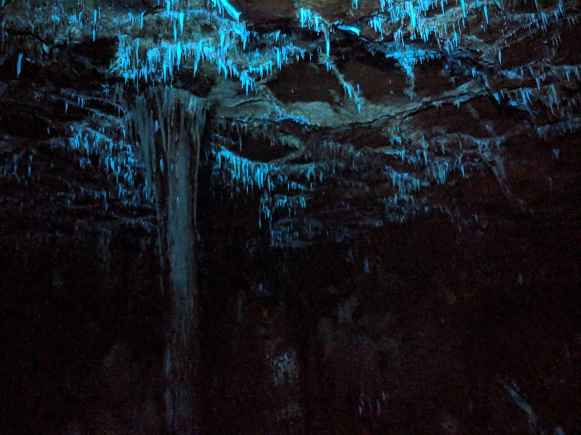 Thay vì lấy mẫu đá rồi đem về để phân tích trong phòng thí nghiệm, nhóm của Sebree sử dụng máy quang phổ di động để thu thập quang phổ huỳnh quang trực tiếp trong hang động. Họ sử dụng đèn cực tím để kiểm tra các khoáng chất có trong đá. Ảnh: @Joshua Sebree.