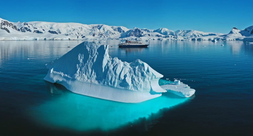 Phát hiện mới đã hé lộ một đáy biển vốn đã bị che khuất khỏi ánh sáng mặt trời trong nhiều thập kỷ, mang đến cho các nhà nghiên cứu trên tàu Falkor một cơ hội hiếm có để khám phá các hệ sinh thái biển sâu chưa từng được biết đến. Ảnh: @Viện Đại dương Schmidt.