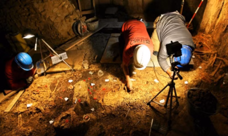 Tại phòng chôn chất tập thể này, các nhà khảo cổ học đã phát hiện ra hài cốt của ít nhất 20 cá nhân, 15 người trong số họ đã được xác nhận là phụ nữ. Ảnh: @Fundación Palarq.