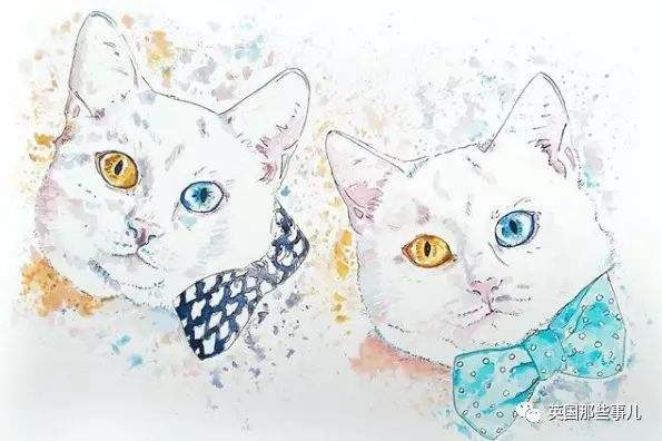 Tuổi Mão: Người tuổi Mão nhiệt tình, tốt bụng nên có rất nhiều quý nhân hỗ trợ trong công việc. Nhờ lộc quý nhân mà con giáp này kiếm được không ít tiền nhưng lại không có được những khoản tiết kiệm kếch xù. Điều này là do người tuổi Mão luôn hết lòng vì bạn bè, sẵn sàng dốc hết những đồng tiền cuối cùng cho bạn mà không hề tính toán so đo gì. (Bài viết chỉ mang tính tham khảo, cun g cấp nội dung trắc nghiệm vui cho bạn đọc).